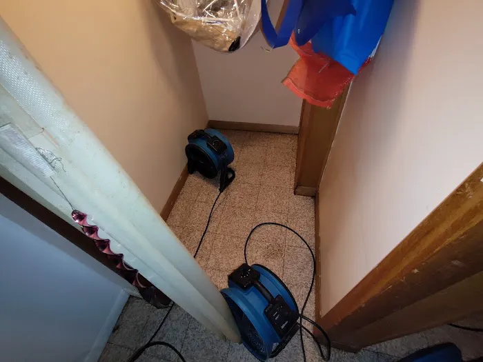 DLW Services Picture 4