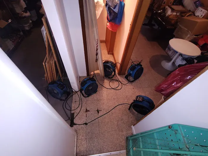 DLW Services Picture 7