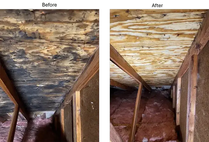 JC Environmental LLC Picture 10