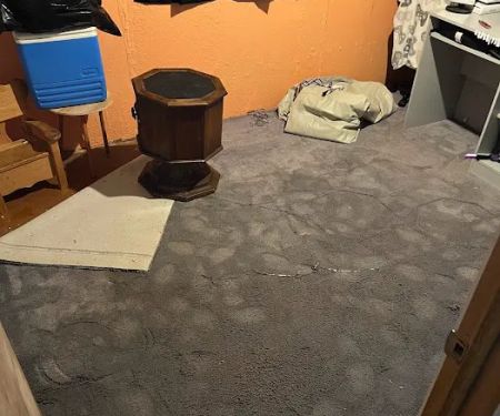 Precision Property Restoration