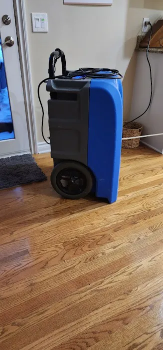 Doan Restoration of Michigan Picture 3