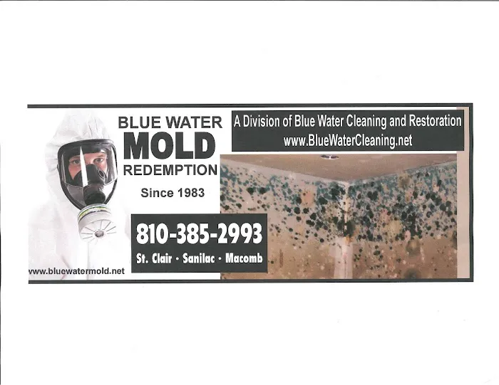 Blue Water Cleaning LLC Picture 6