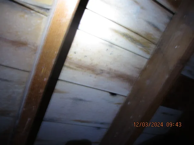 Blue Water Cleaning LLC Picture 8