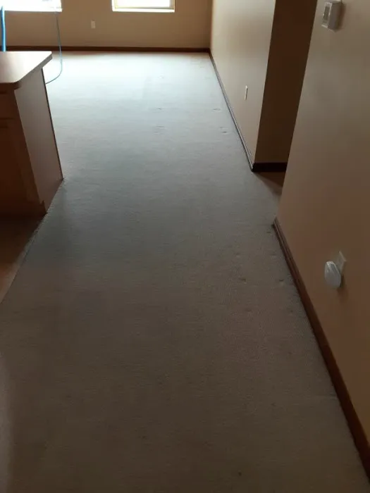 Aquire Cleans Picture 5