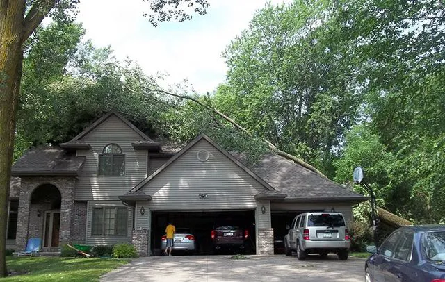 CPR+ - Water Damage Restoration & Clean up Picture 5