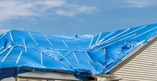 Freedom Restoration & Remodeling Picture 8