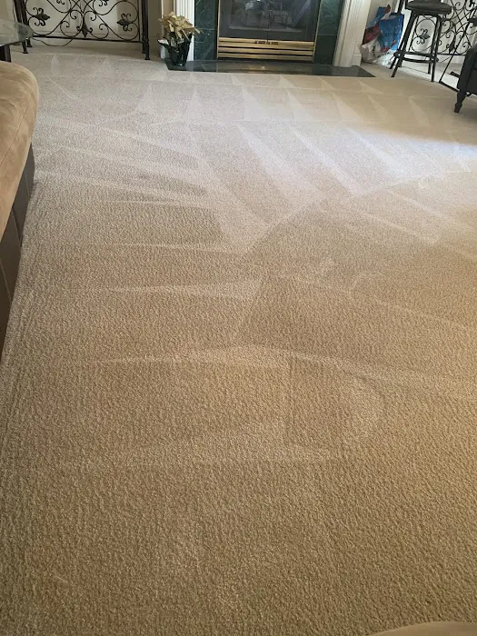 Stanley Steemer Picture 6