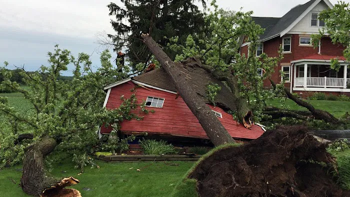 Sullivan's Cleaning & Restoration Picture 4