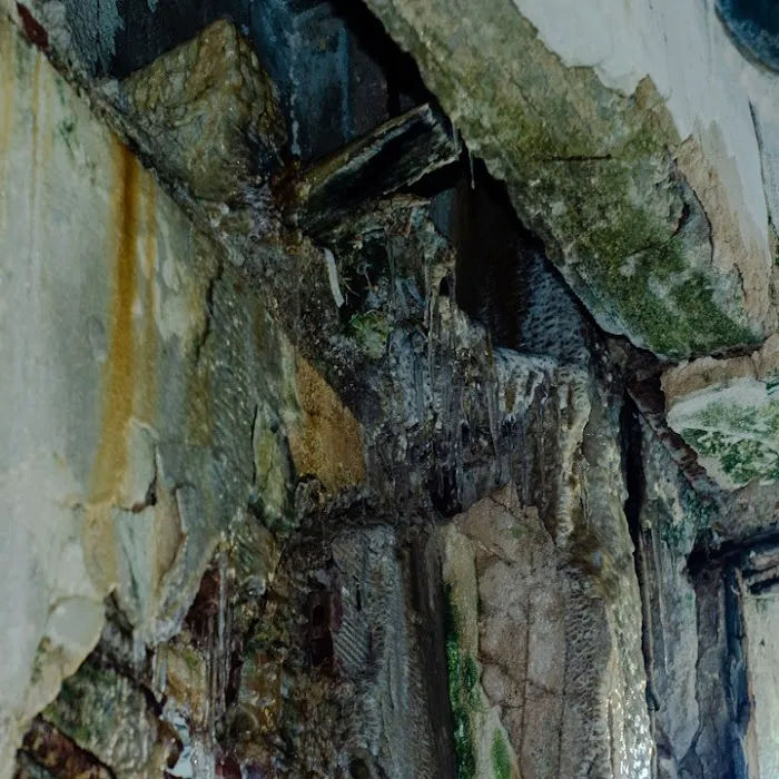 Green Bay Mold Removal Experts Picture 4