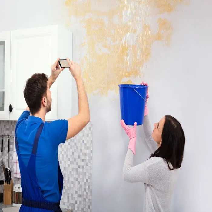 Green Bay Mold Removal Experts Picture 6