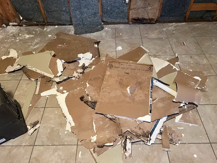 Local Clean Up Specialists Picture 2