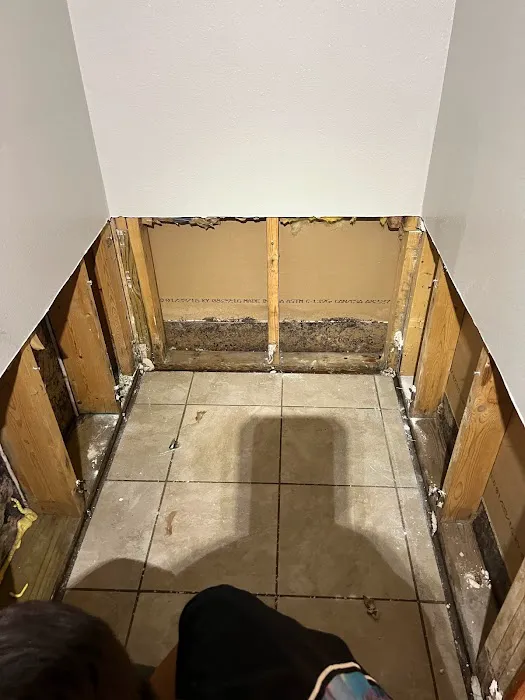 Local Clean Up Specialists Picture 9