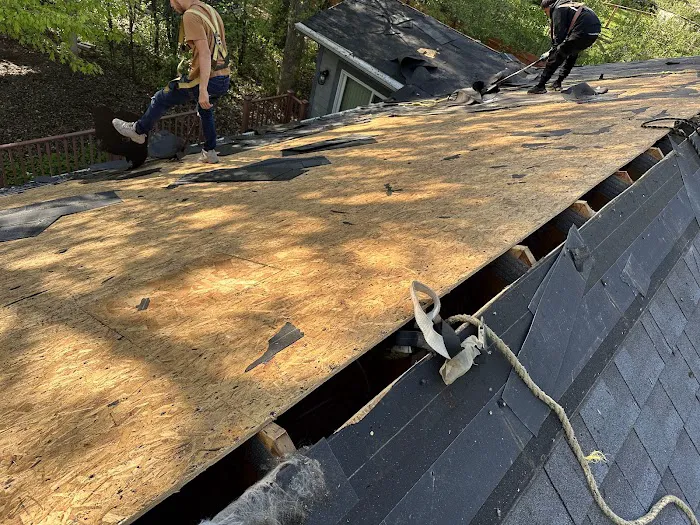 Top Ranked LLC Picture 8