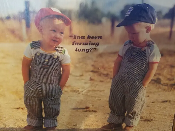 Pouwels Basement Specialists LLC Picture 10