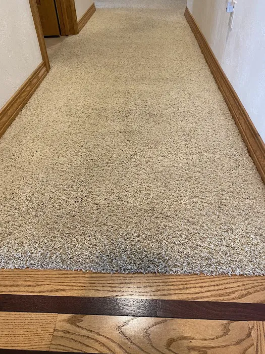 Brownies Carpet & Upholstery Cleaning & Water Restoration Picture 5