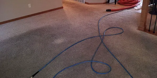 Brownies Carpet & Upholstery Cleaning & Water Restoration Picture 3