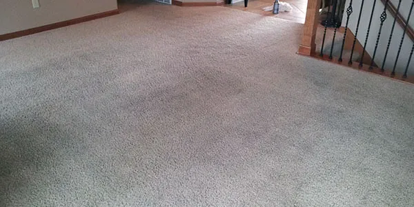 Brownies Carpet & Upholstery Cleaning & Water Restoration Picture 1