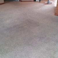 Brownies Carpet & Upholstery Cleaning & Water Restoration ico