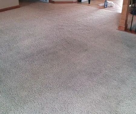Brownies Carpet & Upholstery Cleaning & Water Restoration