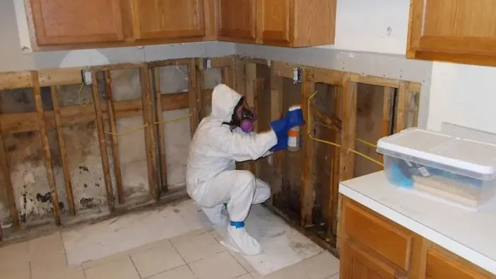 DryMaxx Ohio Picture 4