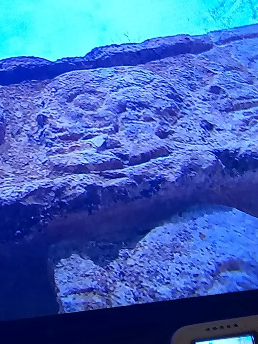 All Serv Restoration Picture 1