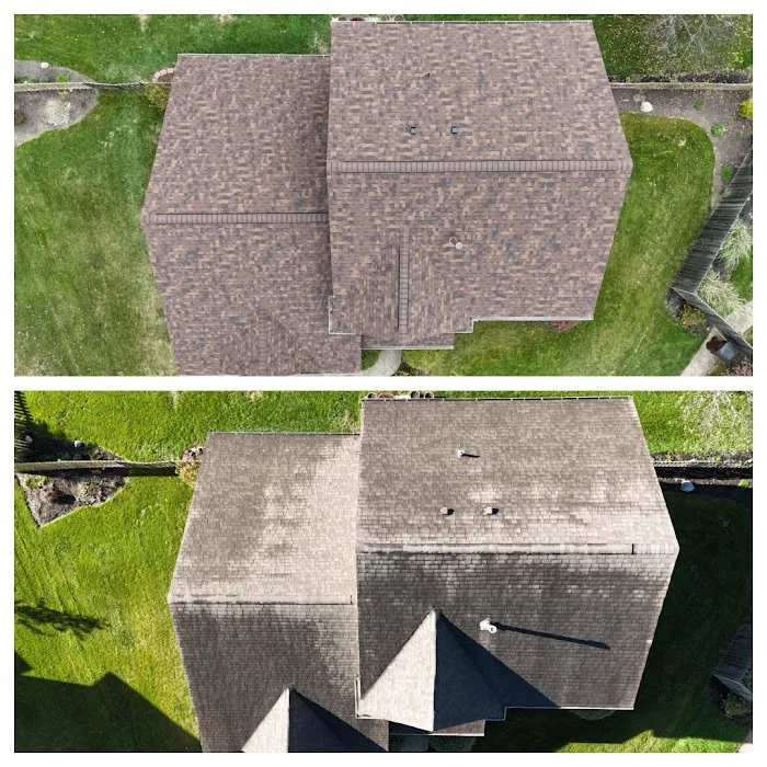 Boone Restoration Picture 4