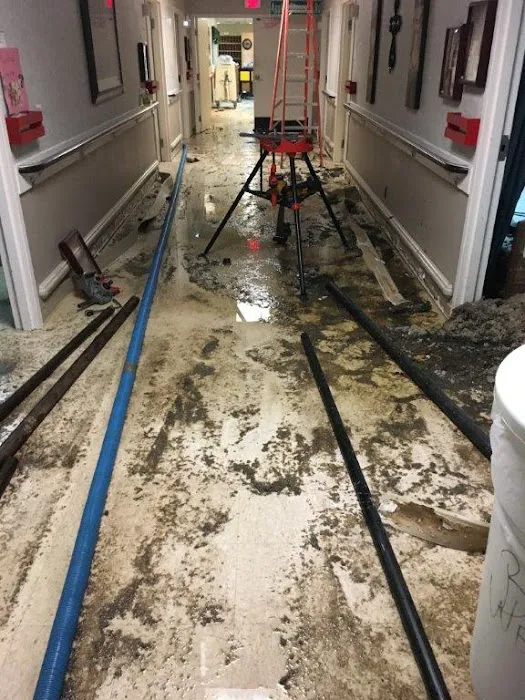 Hays + Sons Picture 3