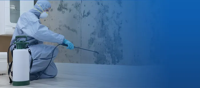 Mold Busters Picture 7