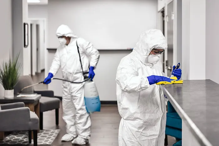 Mold Busters Picture 4