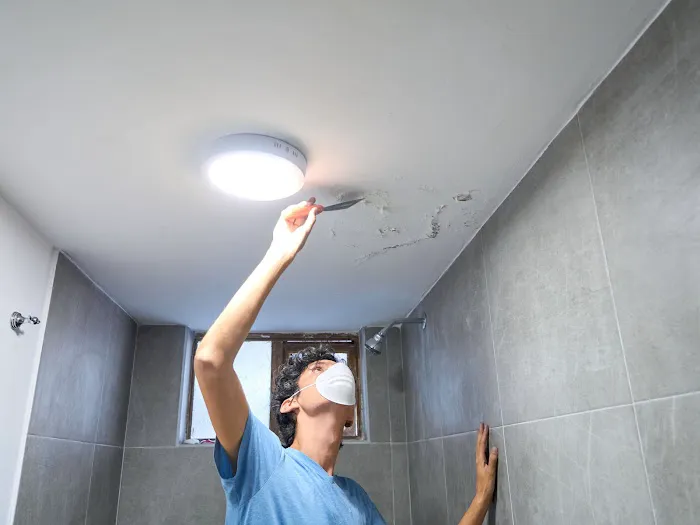 Mold Busters Picture 9