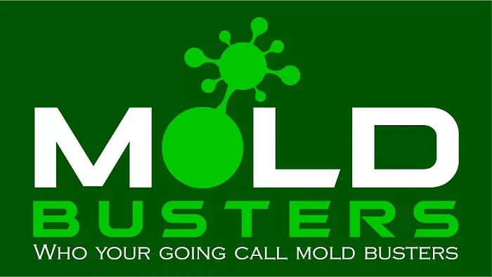 Mold Busters Picture 5
