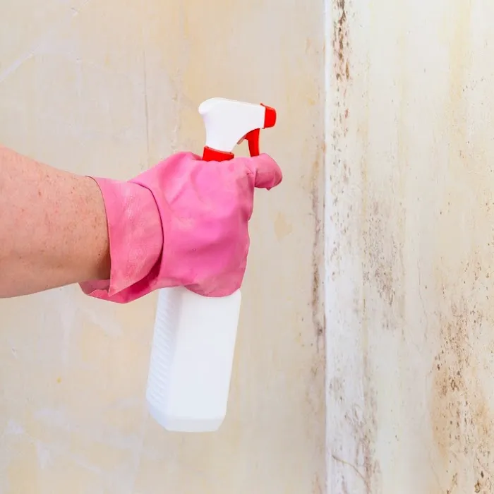 Dayton Water Damage Solutions Picture 3