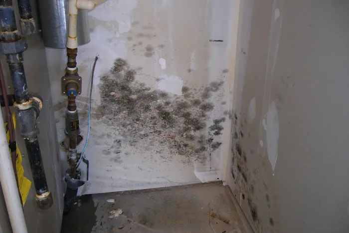 PuroClean Emergency Services Picture 8