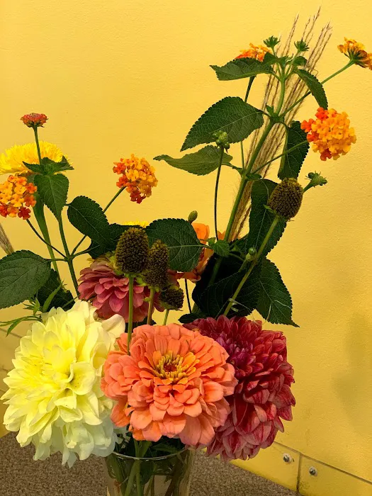 PuroClean Emergency Services Picture 4