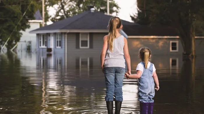 Cooper Restoration Picture 1