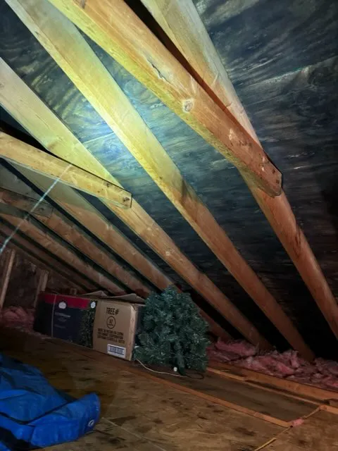 Armour Mold Removal Picture 5