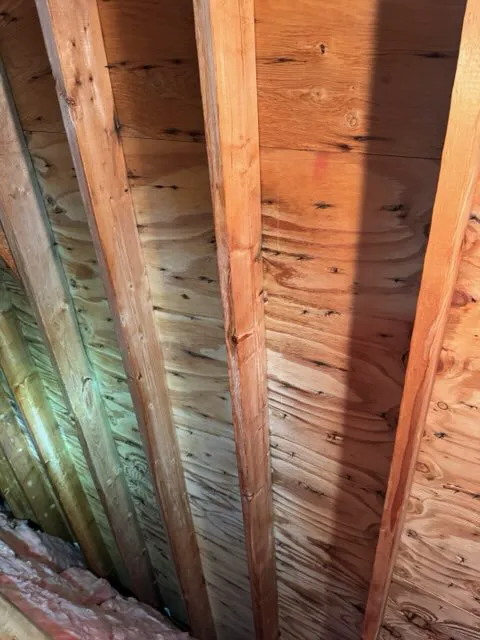 Armour Mold Removal Picture 6