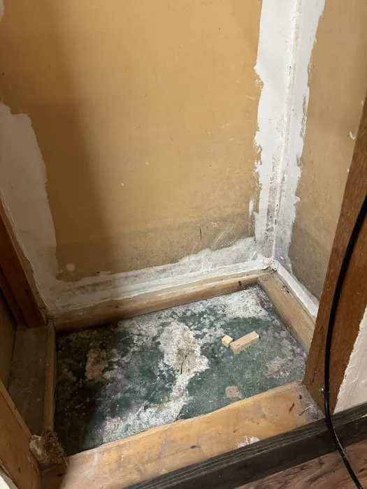 Armour Mold Removal Picture 8