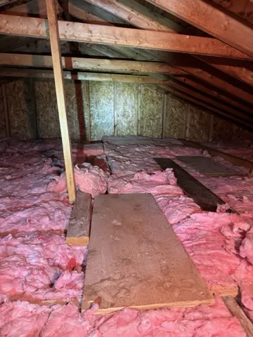 Armour Mold Removal Picture 4