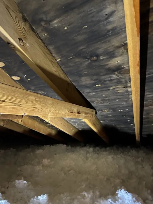 Armour Mold Removal Picture 9