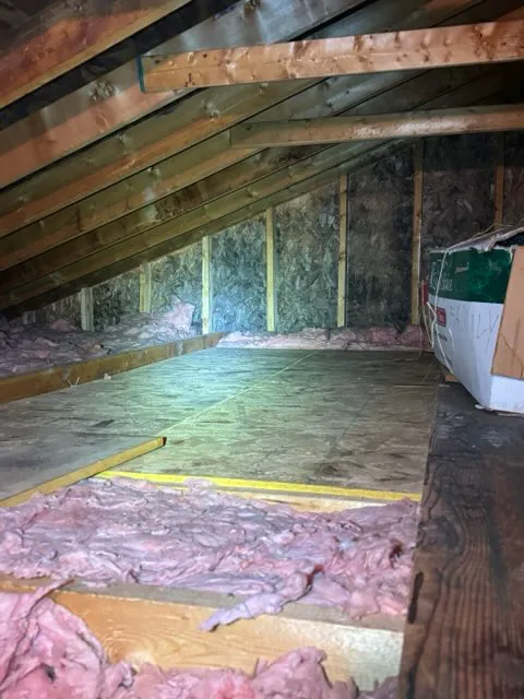 Armour Mold Removal Picture 10