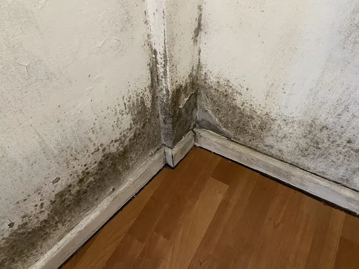Northeast Ohio Radon & Mold Solutions Picture 3
