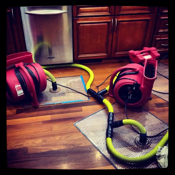 PuroClean Professional Services Picture 3