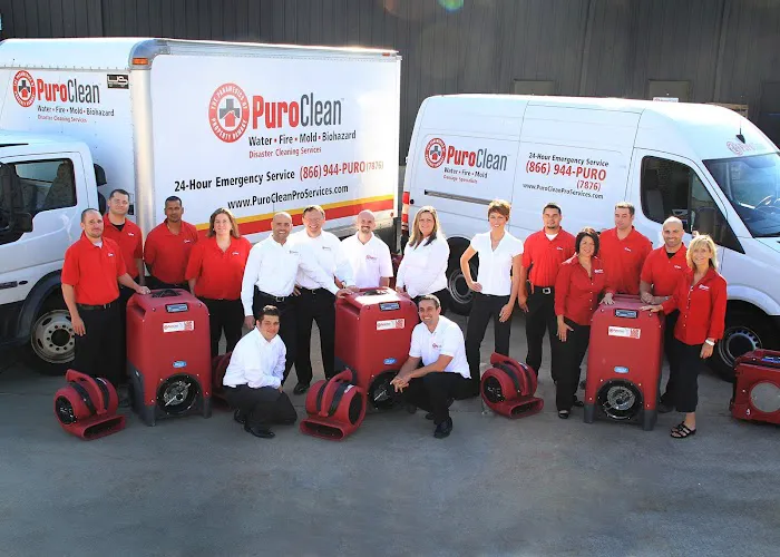 PuroClean Professional Services Picture 5