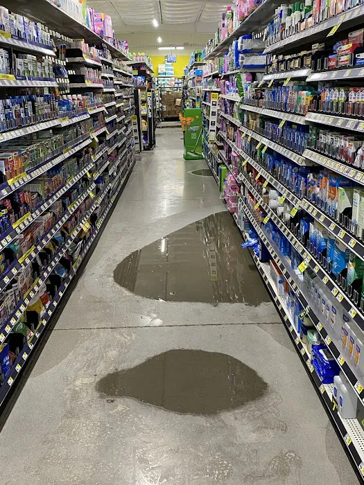 Xpert Restoration Picture 10