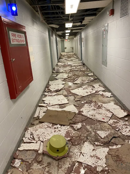 Xpert Restoration Picture 3