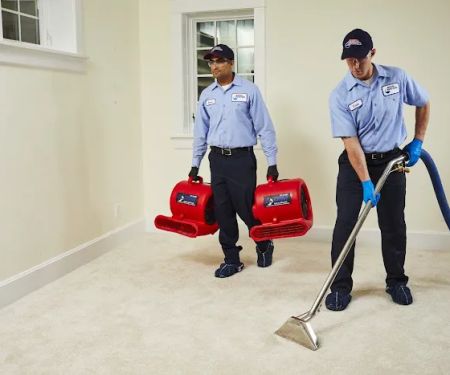 Roto-Rooter Plumbing, Drain, & Water Damage Cleanup Service