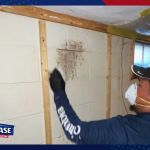 AllPhase Roofing & Restoration