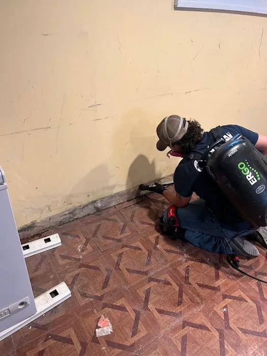 Rainbow Restoration of Medina Picture 9