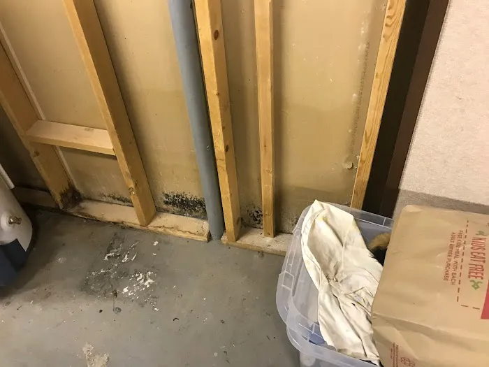 AdvantaClean of Dublin Picture 3